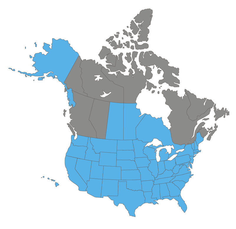 map-800-4 CSD Structural Engineers - Map of professionally-licensed location
